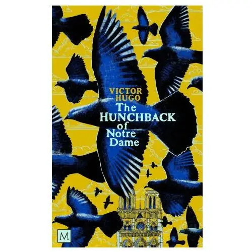 Hunchback of notre-dame Pan macmillan