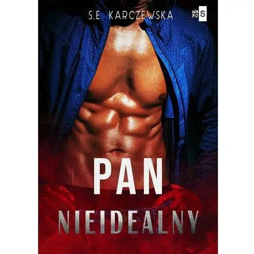 Pan nieidealny