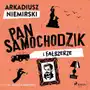 Pan Samochodzik i fałszerze Sklep on-line