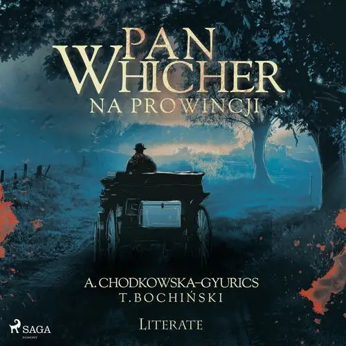 Pan whicher na prowincji