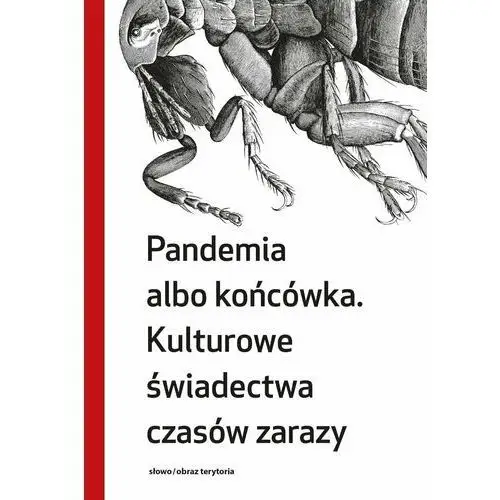 Pandemia albo końcówka. Kulturowe świadectwa czasów zarazy