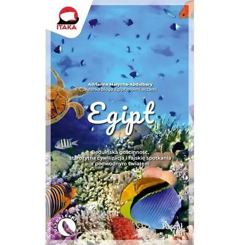 Egipt. lajt Pascal