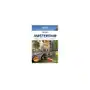 Lonely Planet Pocket. Amsterdam PASCAL,085KS (9597865) Sklep on-line