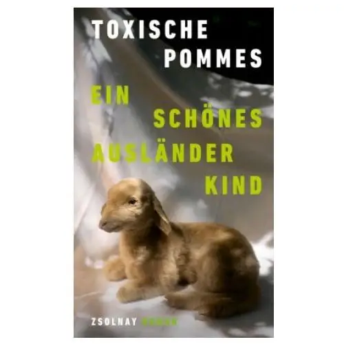 Paul zsolnay verlag Ein schönes ausländerkind