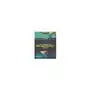 Pearson Edexcel International A Level Mathematics Pure Mathematics 1 Student Book Skrakowski, Joe; Smith, Harry Sklep on-line