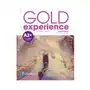 Pearson education limited Gold experience 2nd edition a2+ teacher's book with online practice & online resources pack Sklep on-line