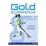 Pearson education limited Gold experience a1 workbook without key Sklep on-line