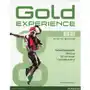 Pearson Gold experience language and skills workbook b2 Sklep on-line