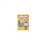 Poptropica English Islands 2 Flashcards Sklep on-line