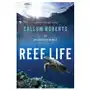 Reef life - an underwater memoir Pegasus books Sklep on-line