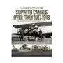 Pen & sword books ltd Sopwith camels over italy, 1917-1918 Sklep on-line