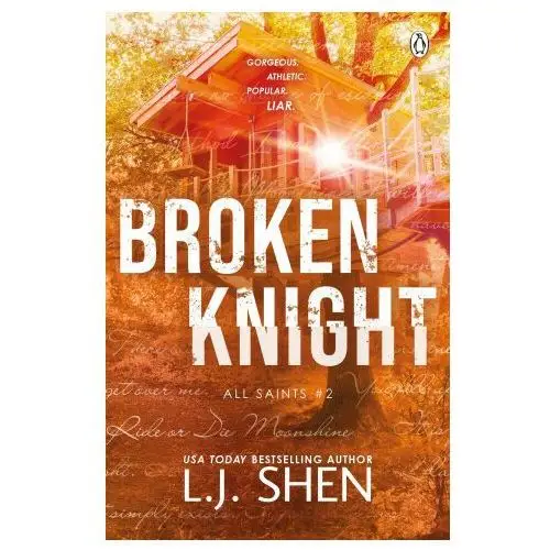 Penguin books Broken knight