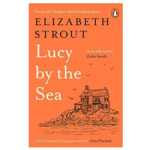Lucy by the sea Penguin books