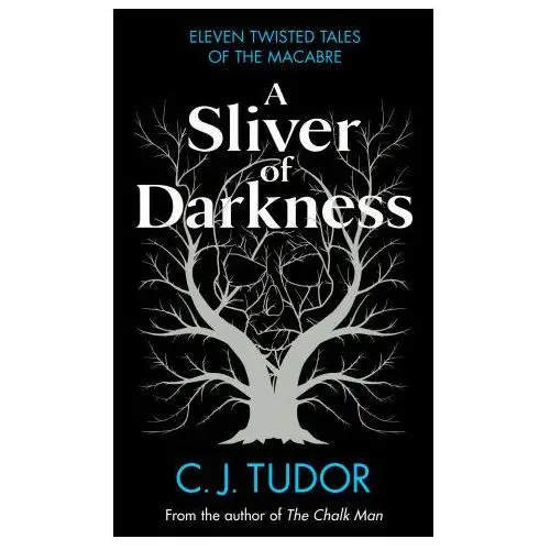 Sliver of darkness Penguin books