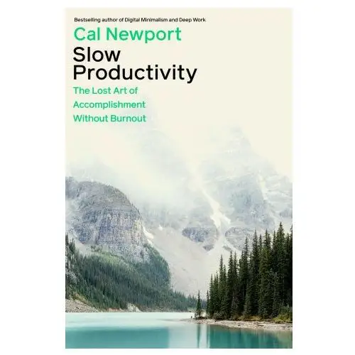 Slow productivity Penguin books