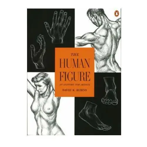 Penguin books The human figure: an anatomy for artists