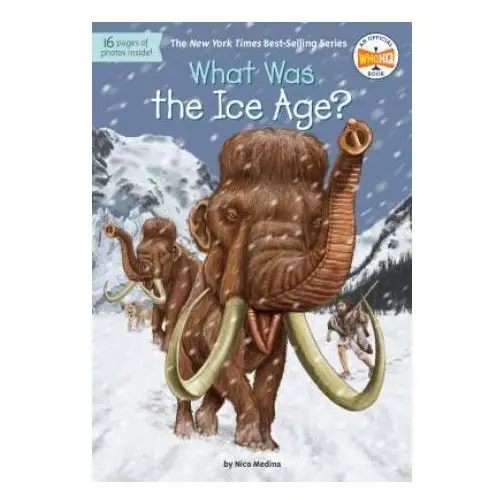 What was the ice age? Penguin books