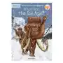 What was the ice age? Penguin books Sklep on-line