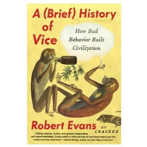 Brief History of Vice