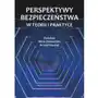 Perspektywy bezpieczeństwa w teorii i praktyce Sklep on-line