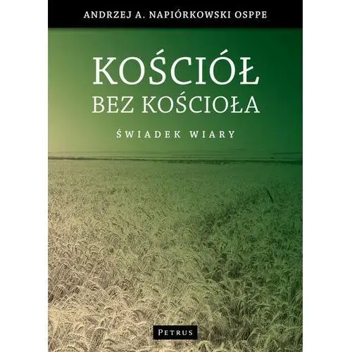 Kościół bez kościoła - Andrzej Napiórkowski