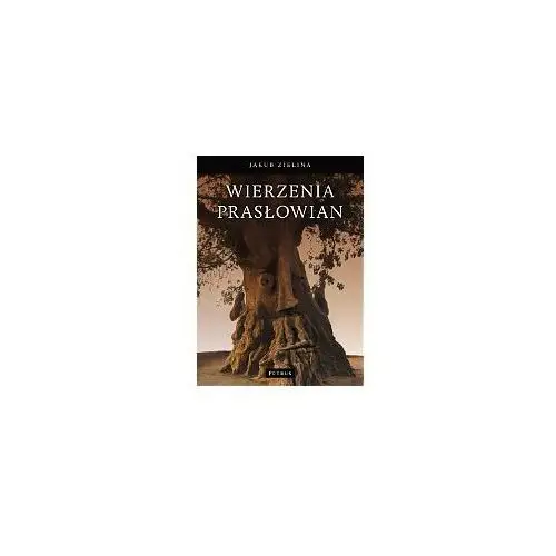 Petrus Wierzenia prasłowian - jakub zielina - zakupy powyżej 60zł dostarczamy gratis, szczegóły w sklepie 2