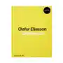 Olafur Eliasson, Experience Sklep on-line