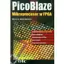 PicoBlaze Mikroprocesor w FPGA Sklep on-line