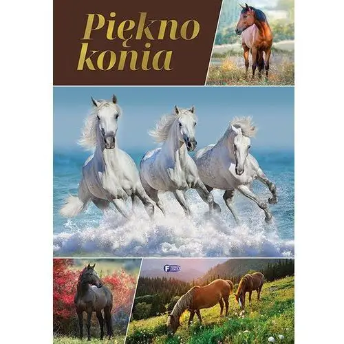 Piękno konia