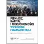 Pieniądz, kapitał i nieruchomości w procesie finansjeryzacji, AZ#DE4D6FE0EB/DL-ebwm/pdf Sklep on-line