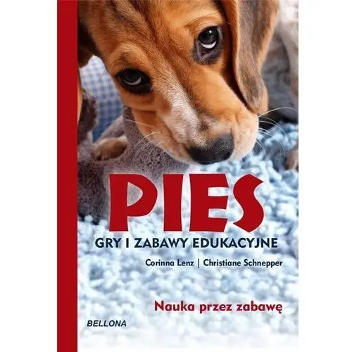 Pies. Gry i zabawy edukacyjne