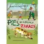 Pies w czasach zarazy Sklep on-line