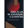 Piw Galicja w krainie czarów. antologia poezji polskiej międzywojennego lwowa Sklep on-line