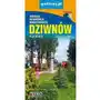 Plan miasta - Dziwnów, Dziwnówek, Międzywodzie - praca zbiorwa - książka Sklep on-line