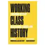 Working class history Pm press Sklep on-line