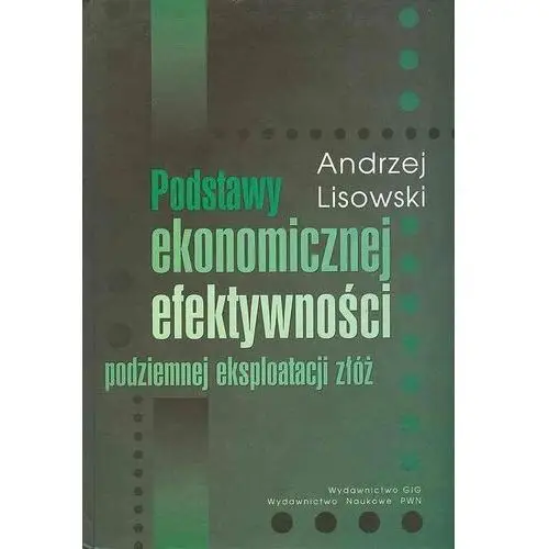 Podstawy ekonomicznej efektywności podziemnej eksploatacji złóż