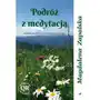 Podróż z medytacją. doświadczenia z duchowego szlaku Poligraf Sklep on-line