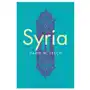 David W. Lesch - Syria Sklep on-line