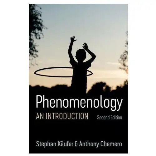 Phenomenology - An Introduction