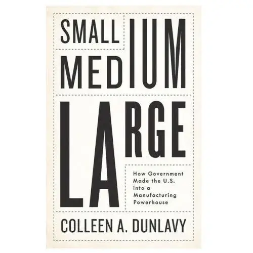 Small, medium, large: how government made the u.s. into a manufacturing powerhouse Polity press