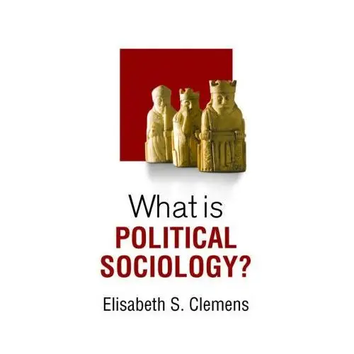 What is political sociology? Polity press