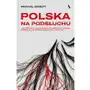 Polska na podsłuchu. Jak Pegasus, najpotężniejszy szpieg w historii, zmienił się w narzędzie brudnej polityki Sklep on-line