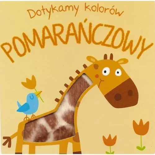 Pomarańczowy. Dotykamy kolorów