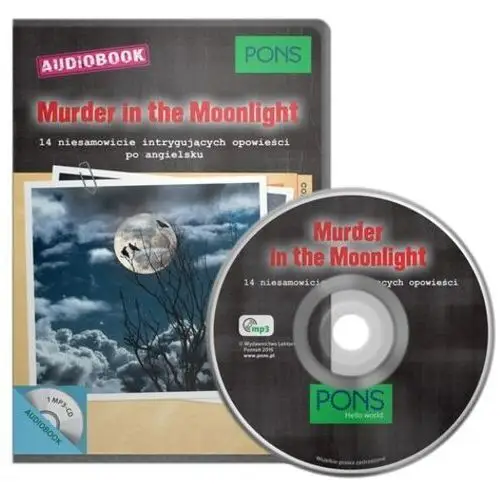Pons Murder in the moonlight