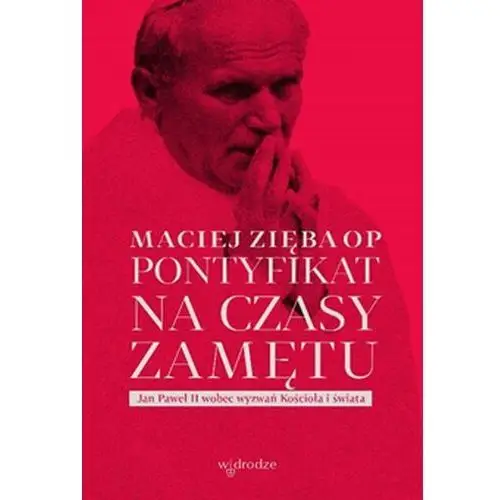 Pontyfikat na czasy zamętu. Jan Paweł II wobec wyzwań Kościoła i świata