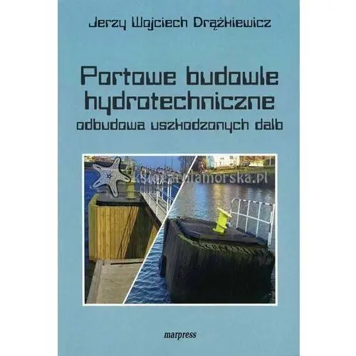 Portowe budowle hydrotechniczne odbudowa uszkodzonych dalb