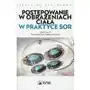 Postępowanie w obrażeniach ciała w praktyce SOR Sklep on-line