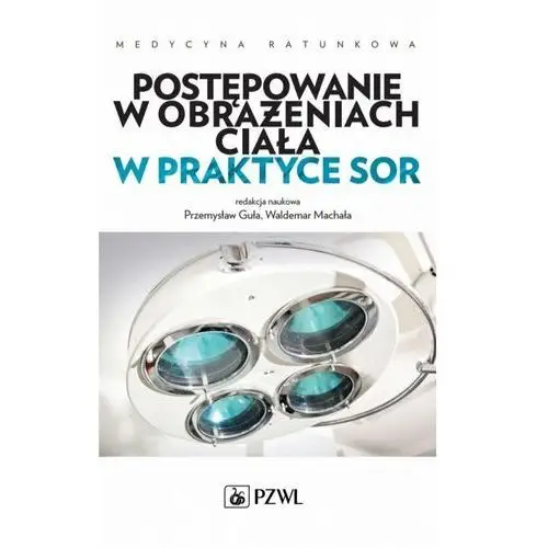 Postępowanie w obrażeniach ciała w praktyce sor