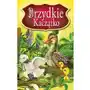 Brzydkie Kaczątko. Najpiękniejsze Baśnie, potrus_013 Sklep on-line