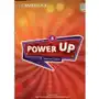 Power Up. Level 3. Teacher's Book Sklep on-line